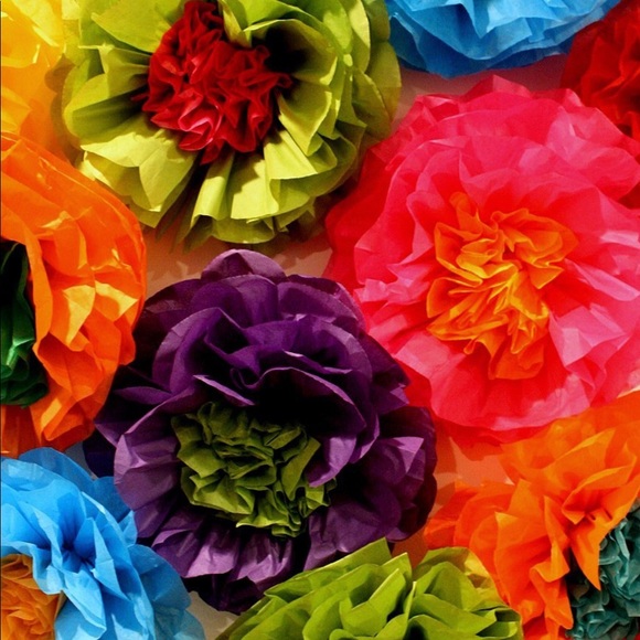 Meet your Posher, Maria - Picture 1 of 1